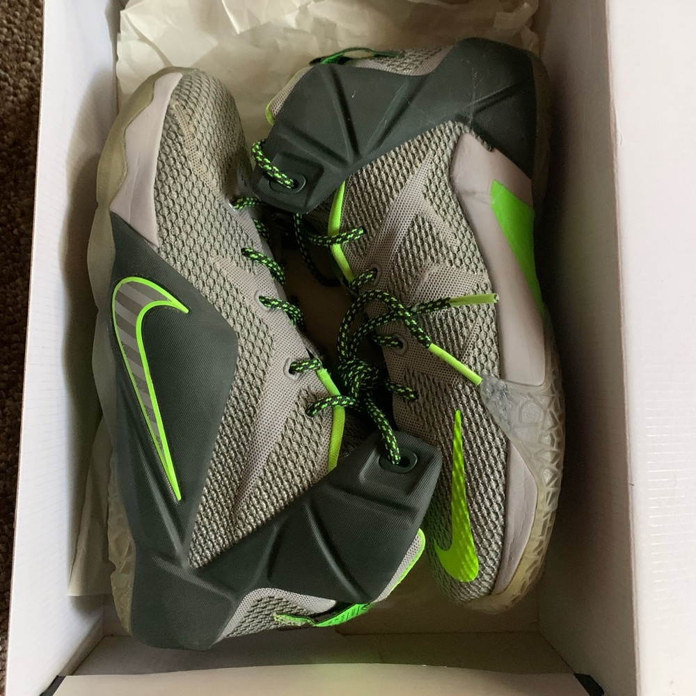 Lebron 12 dunk man